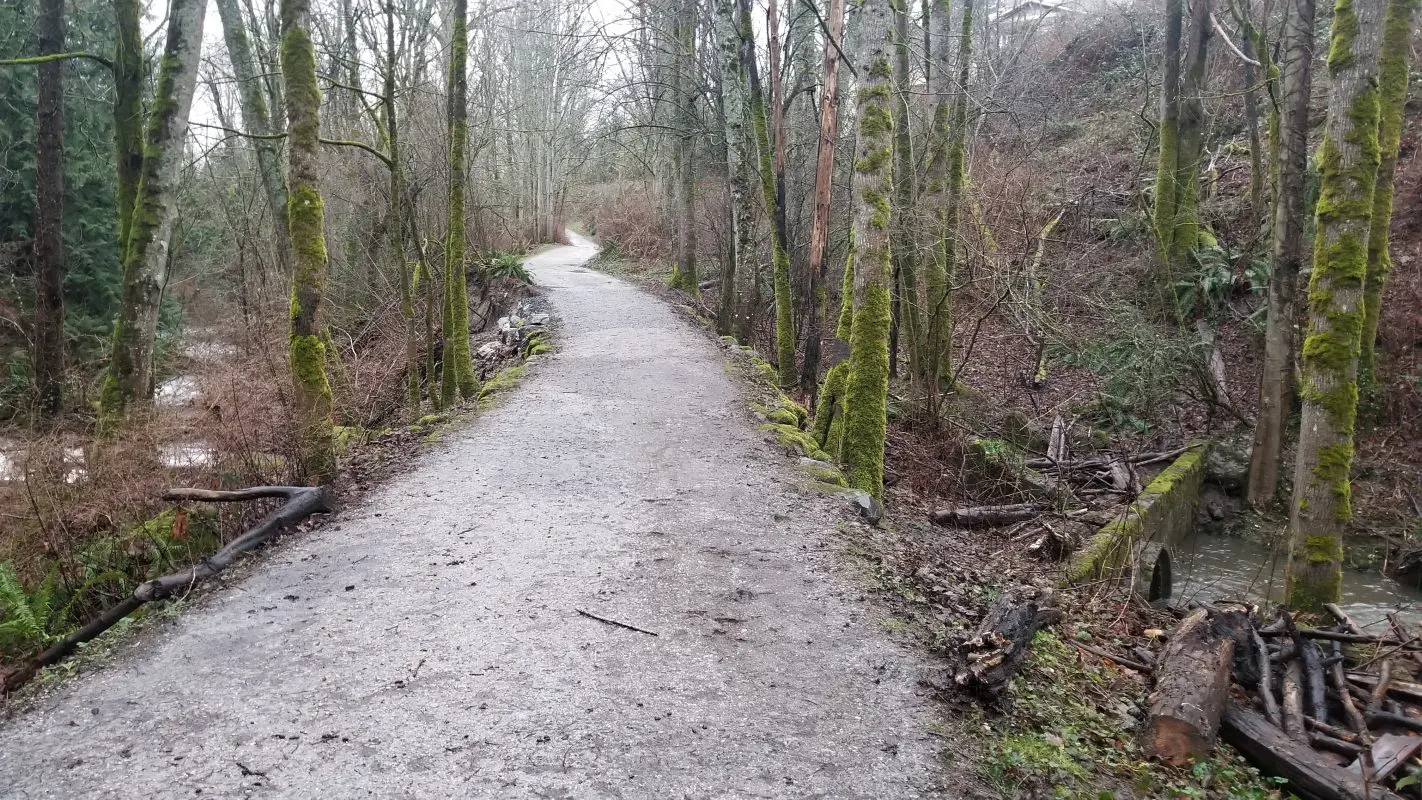 Dirt trail in the woods in the winter when there are no leaves on the trees. The trail crosses over a stream with a concrete culvert.