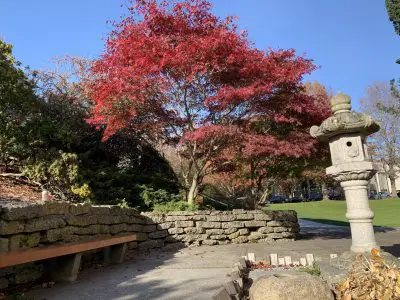 Lee Memorial Japanese Garden