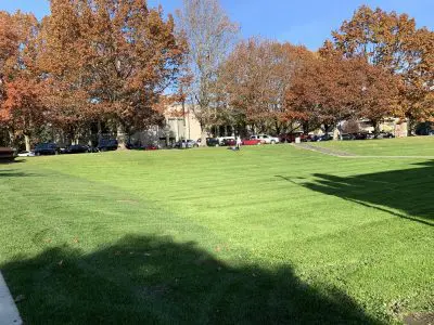 Lee Memorial Park Lawn
