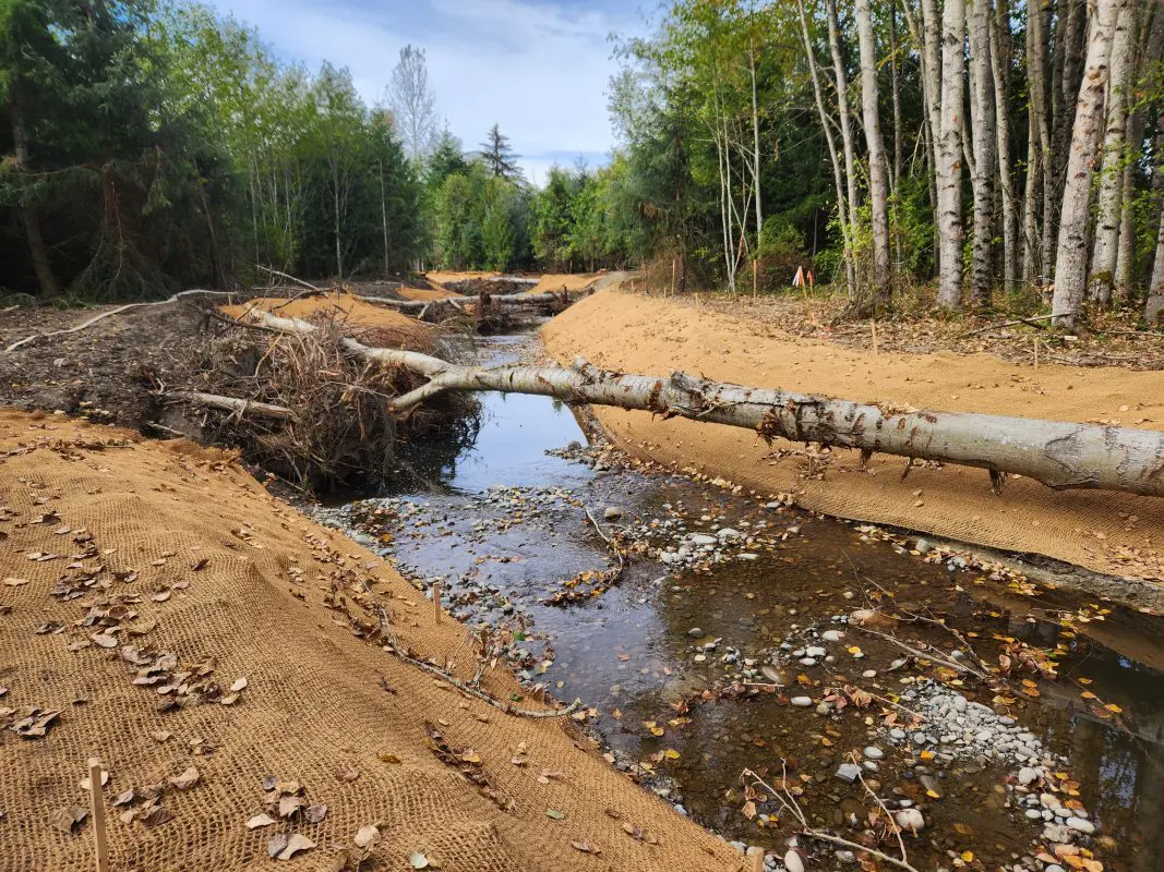 Recently constructed creek channel with large tree trunk in stream 