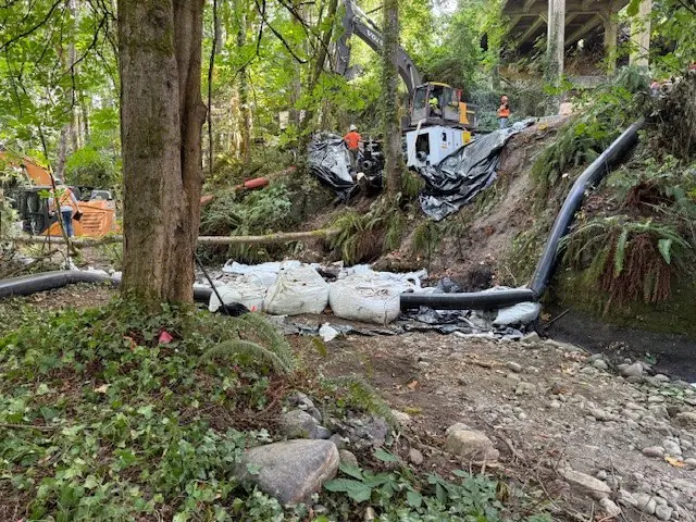 Excavator on a vegetated hillside removing soil