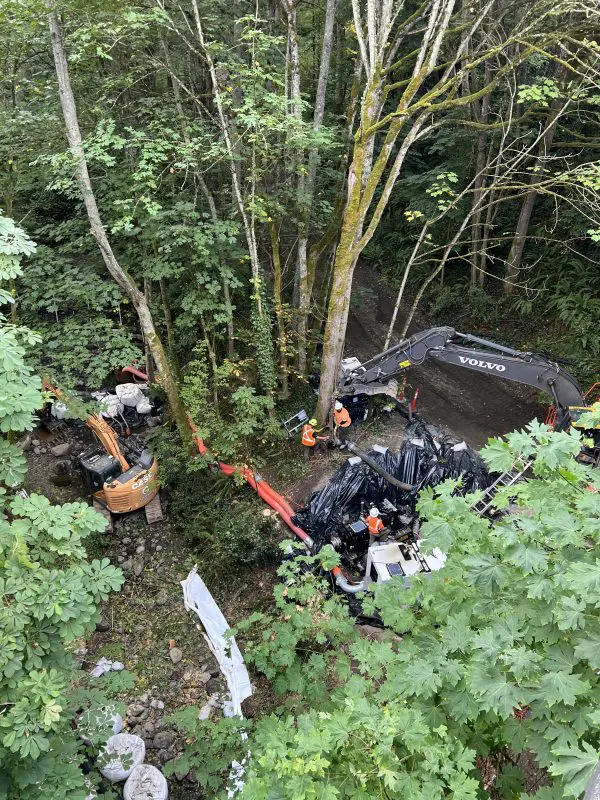 Crews using machinery in vegetated area