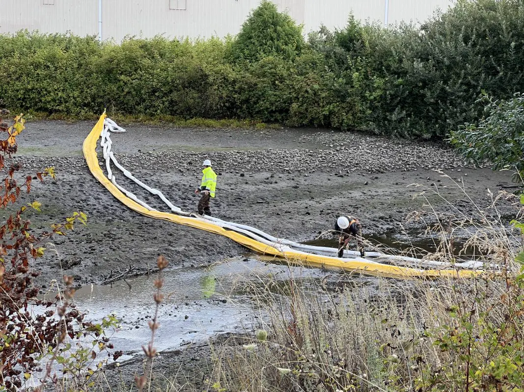 Staff working near a long boom across mouth of creek