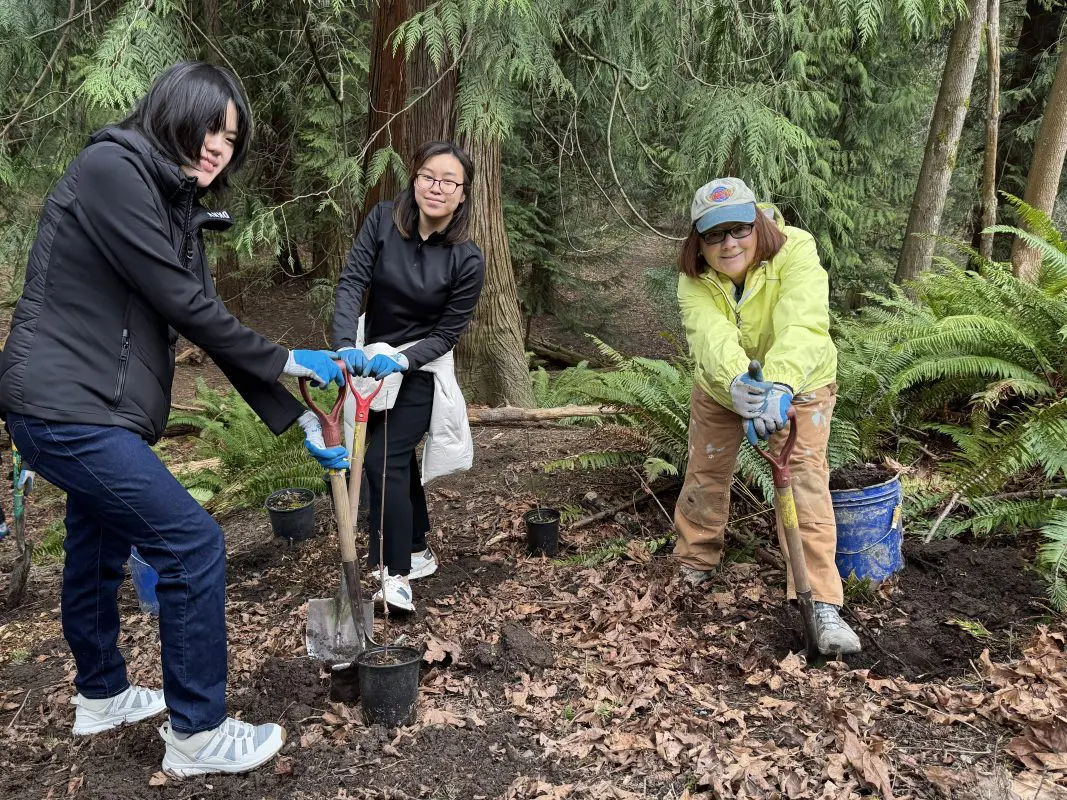 Three people with shovels in a forest