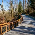 A trail through woods