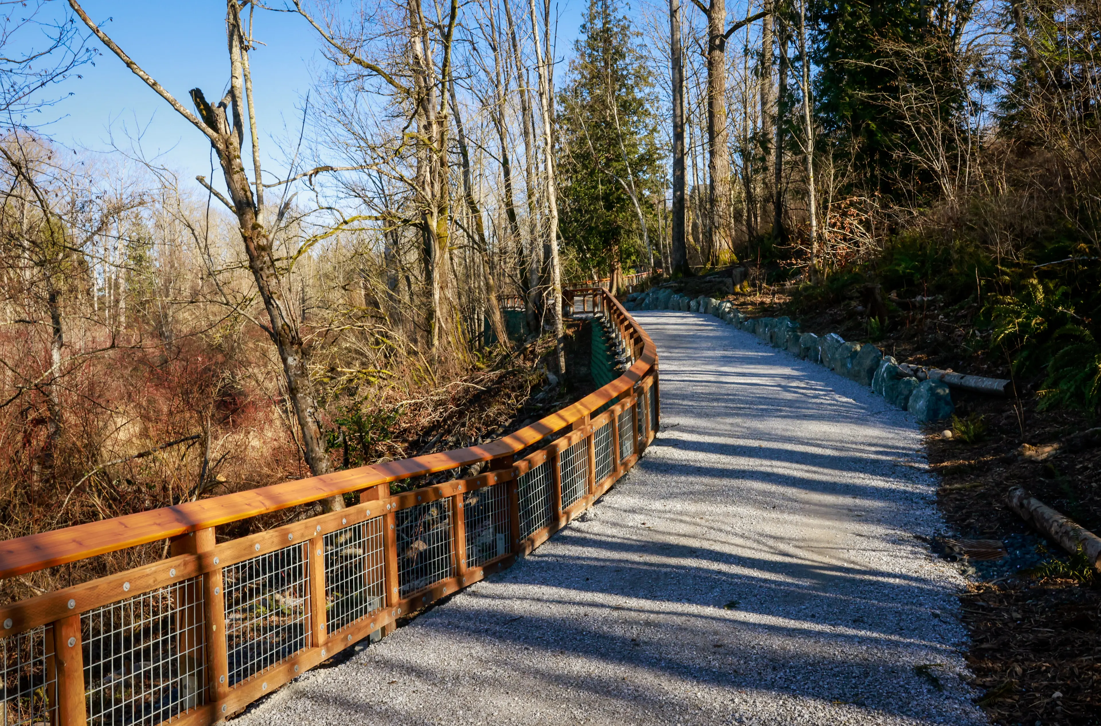 A trail through woods
