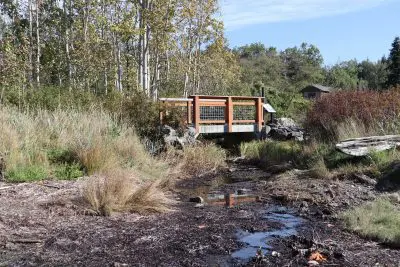 Chuckanut culvert after
