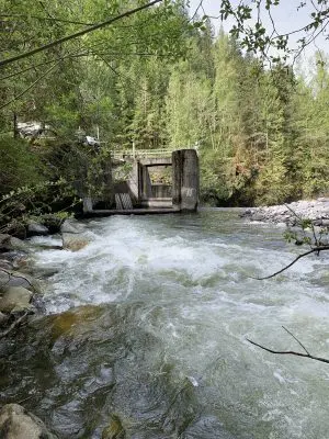 Middle Fork Nooksack Dam Removal Pre-Project Photo