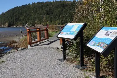 Chuckanut trail after