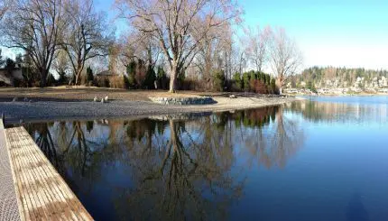 Photo taken from docks at Bloedel Donovan Park showing the shoreline and Lake Whatcom.
