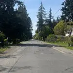 Birchwood-Firwood Intersection