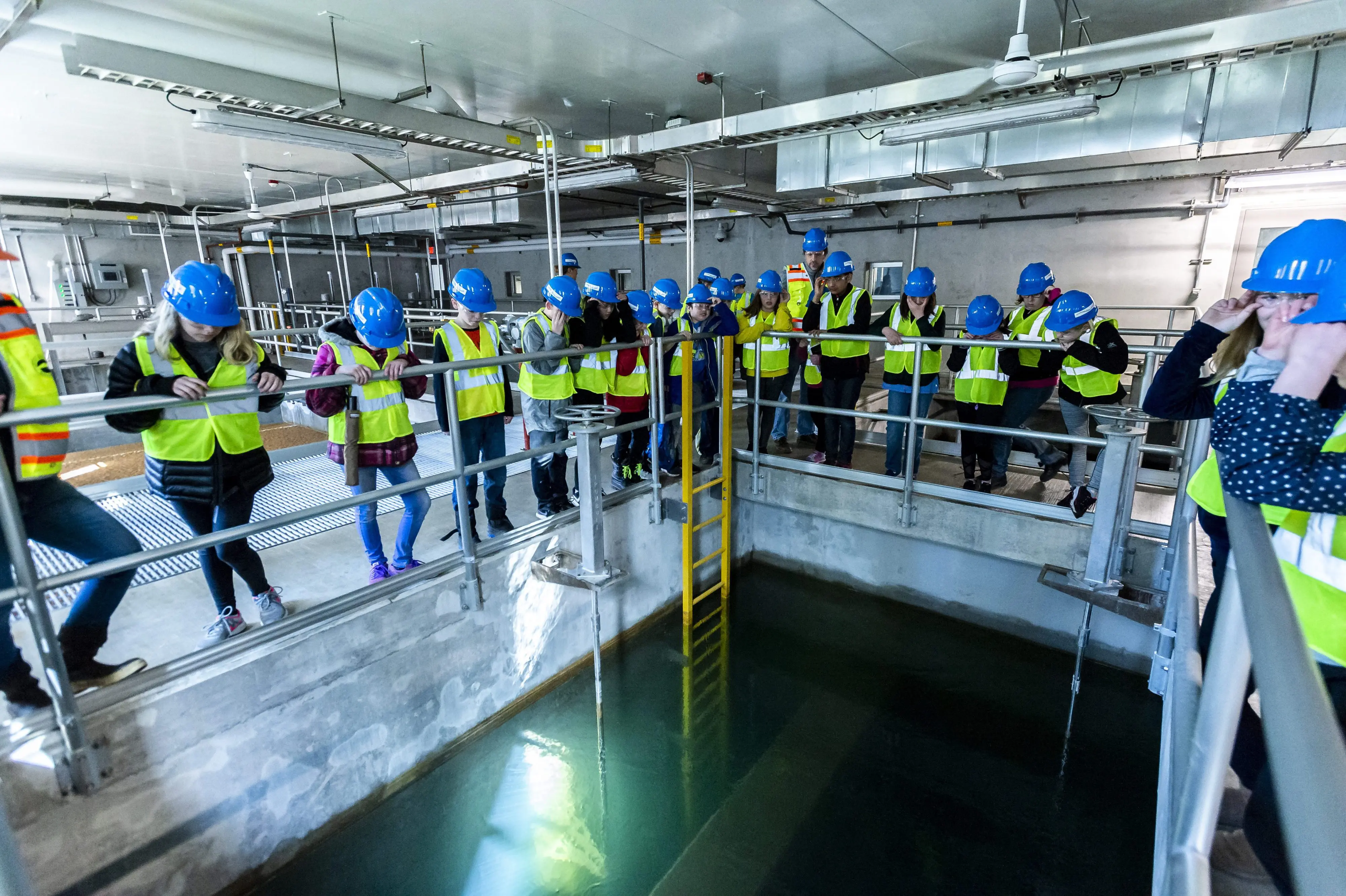 Young students in bright yellow vests and blue hard hats looking down at a basin of water
