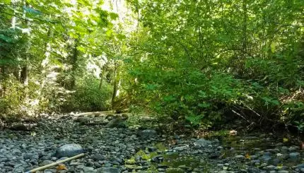 Stream flowing through rocks 