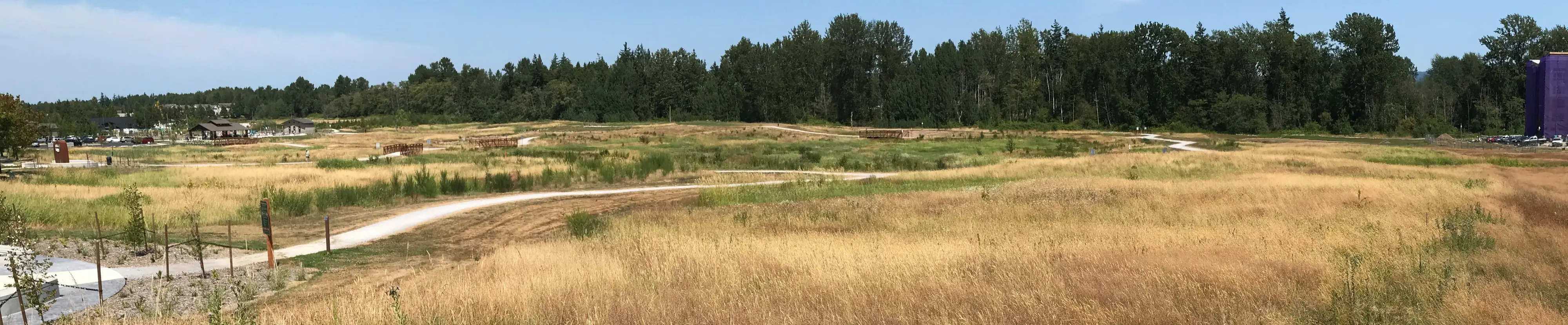 Cordata Community Park field