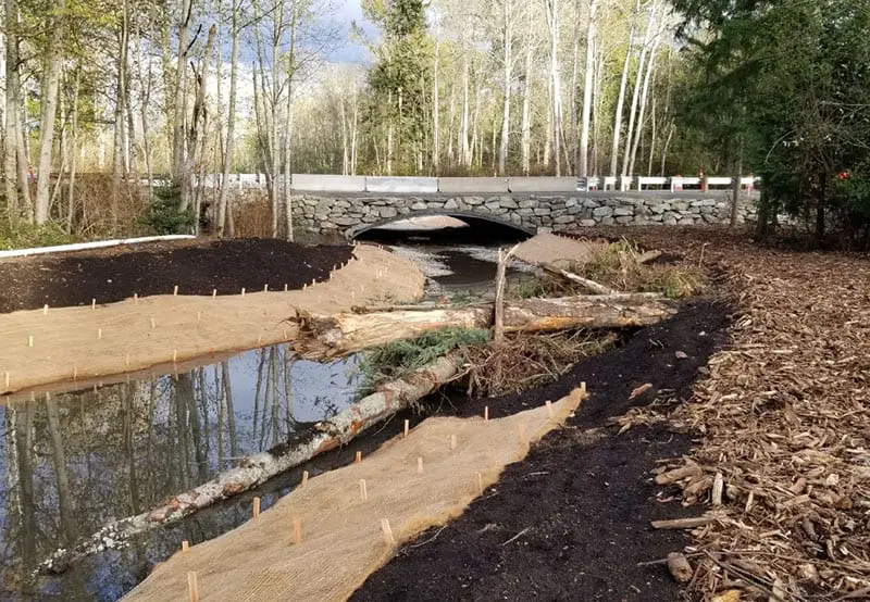 Elevated road with creek flowing under large arched culvert