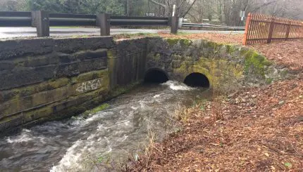 An old culvert consisting of two metal pipes where a creek crosses under a road.