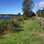 Grassy field next to road looking over the water