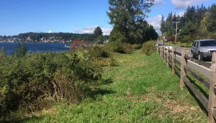 Grassy field next to road looking over the water