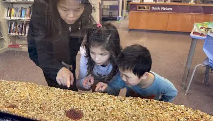 A woman and kids look at salmon in a fish tank