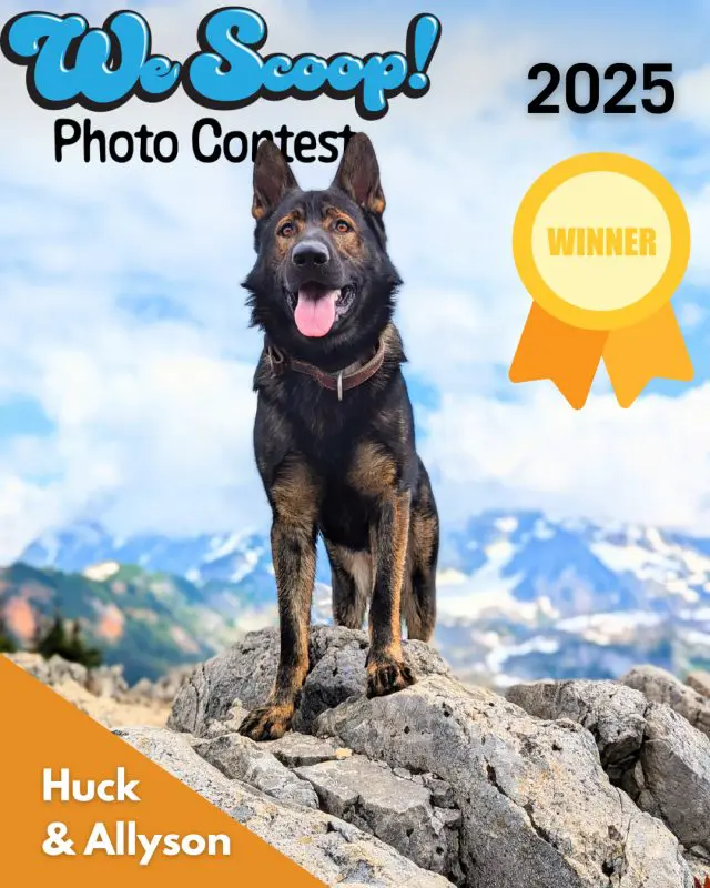 Black and brown dog standing on a rock with mountains in the background with text that says We Scoop Photo Contest Winner: Huck & Allyson
