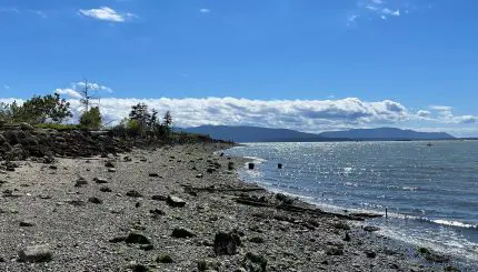 Rocky beach with forested islands in distance