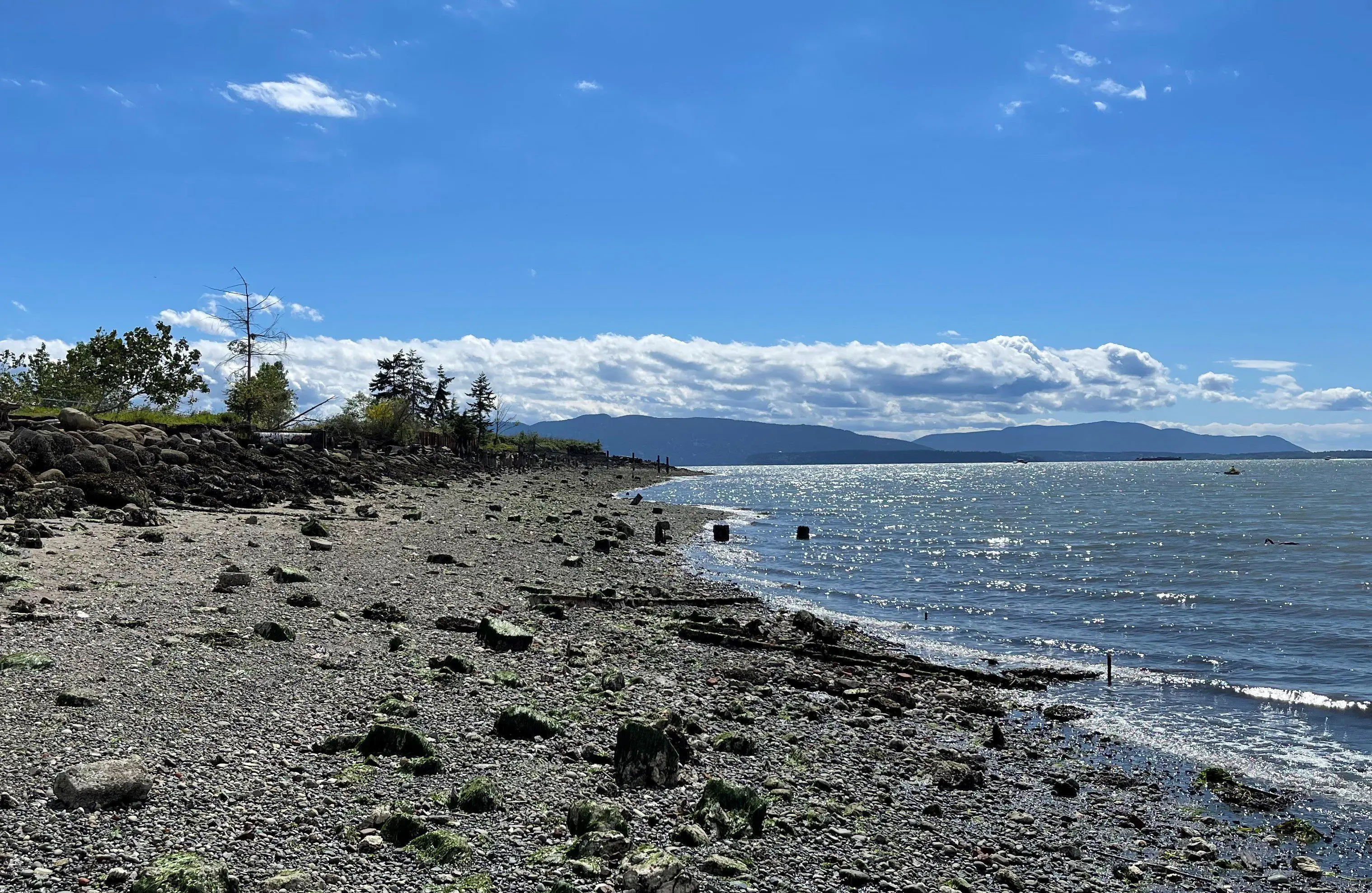 Rocky beach with forested islands in distance