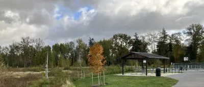 Walking path leading to covered picnic area