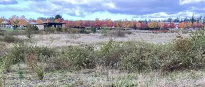 Meadow with park buildings and trees in the background