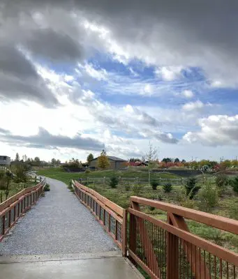 Walking path through a meadow