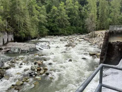 Restored river channel flowing freely through the location of the previous dam. Concrete remnants of the dam can be seen on either side of the river.