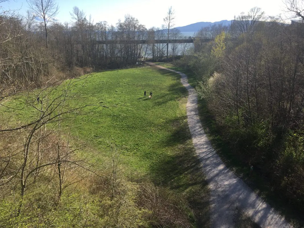 grassy field with gravel path on the right side