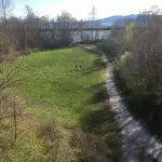 grassy field with gravel path on the right side