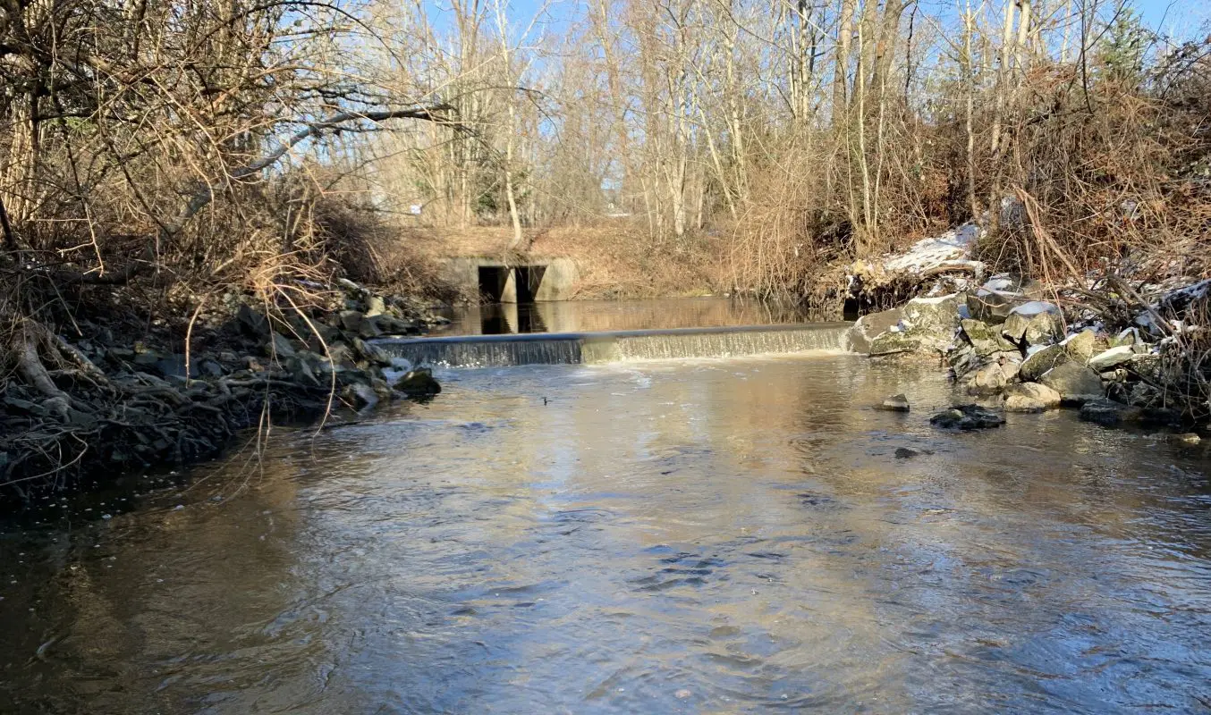 A small dam on a creek with a concrete culvert in the background where the creek goes under a road.