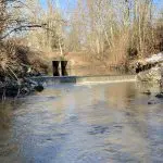 A small dam on a creek with a concrete culvert in the background where the creek goes under a road.