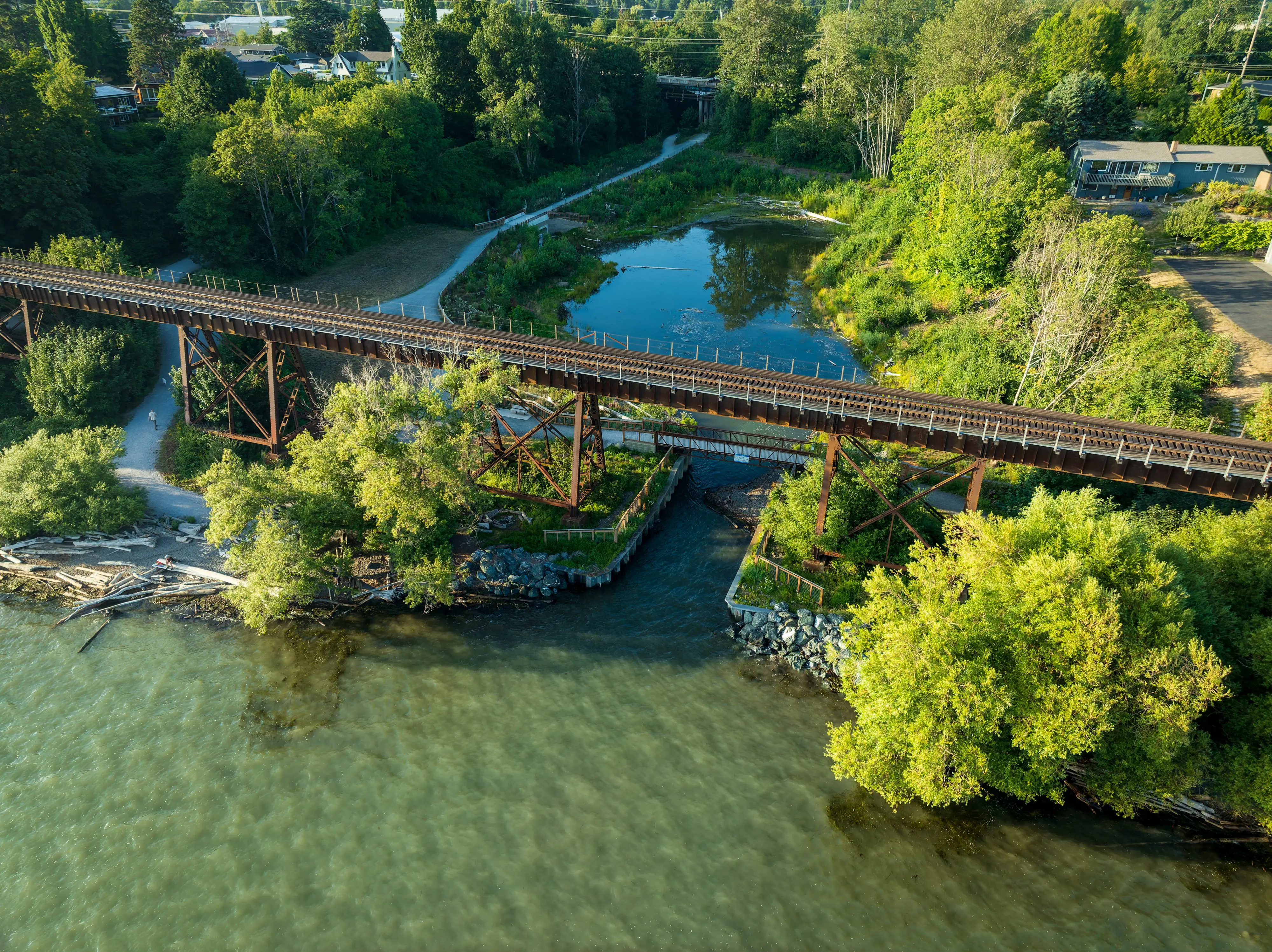 An aerial view of a green estuary