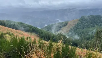 Property with trees on it with Lake Whatcom in the background
