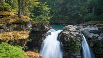 A waterfall in the woods
