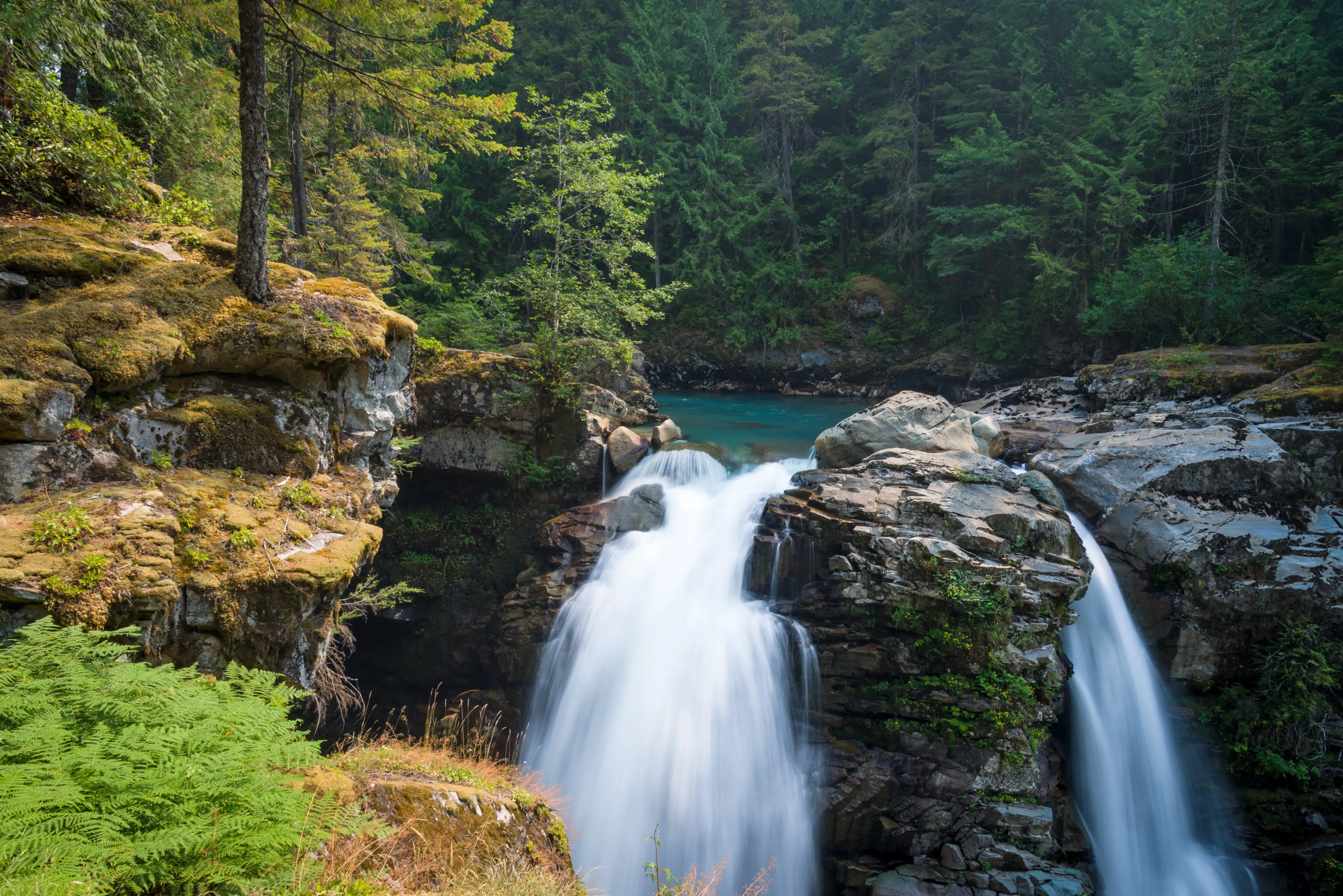 A waterfall in the woods