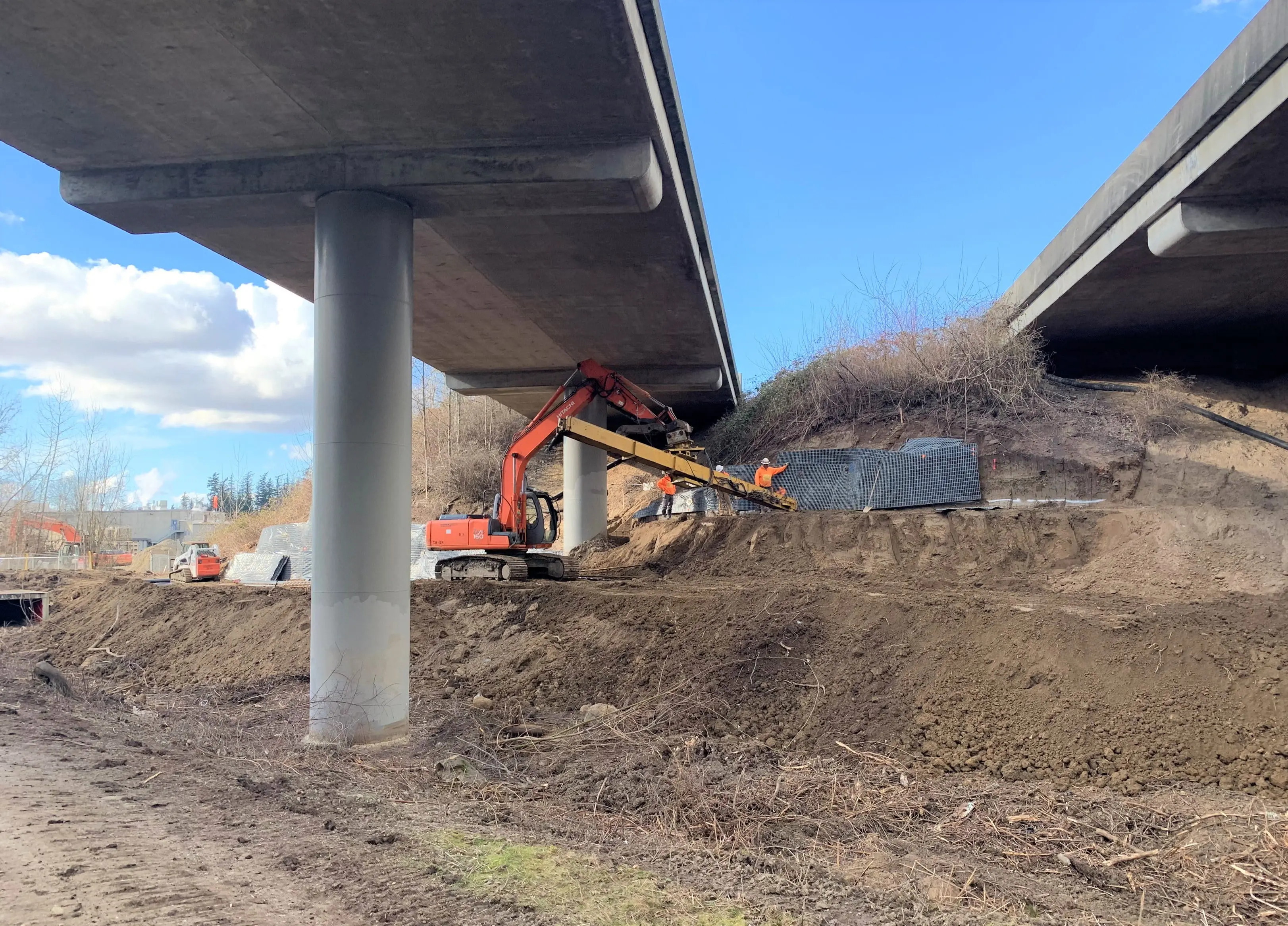 Orchard under I-5 overpass