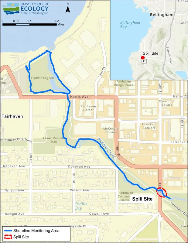 Map showing a blue line in the lower section Padden Creek, from 12th Street to the mouth of the creek, where the shoreline monitoring area is
