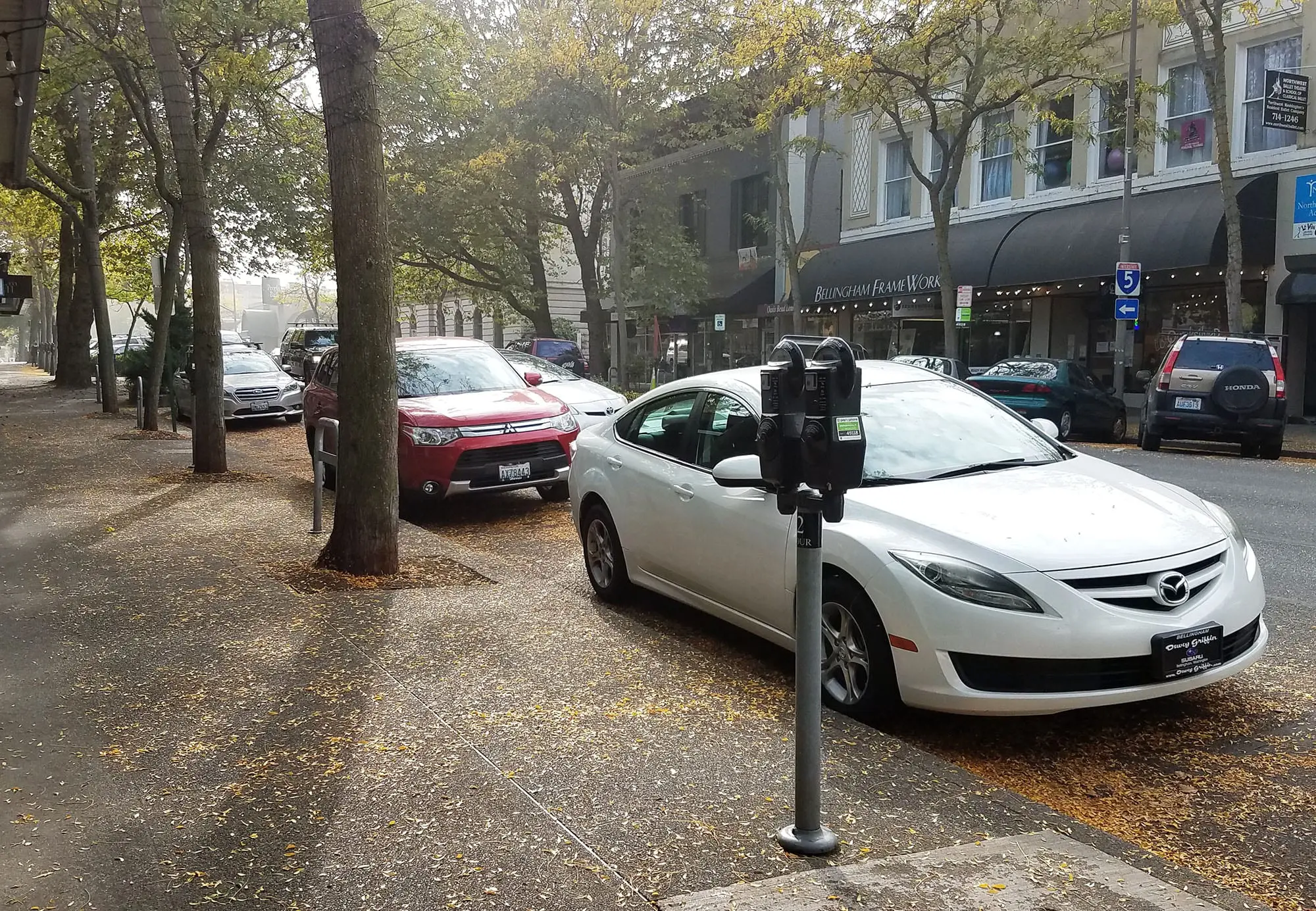 Parking meters and cars parked in downtown Bellingham