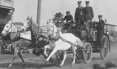 Horse Drawn Carriage