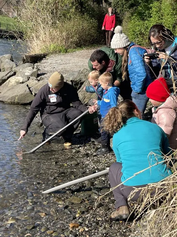 A group of adults and kids gather next to a creek.