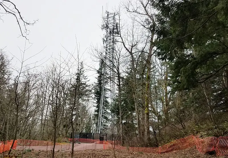 Tower on top of hill with tress surrounding