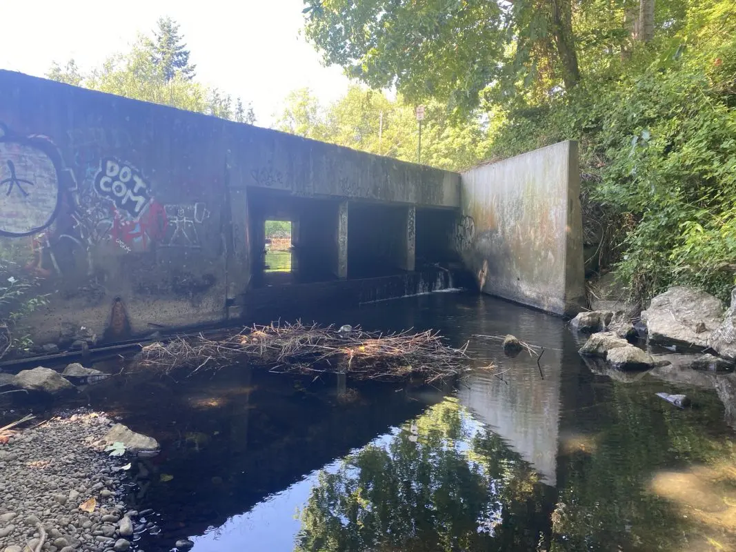 Cement culvert with an approximately 2-foot drop off into the creek