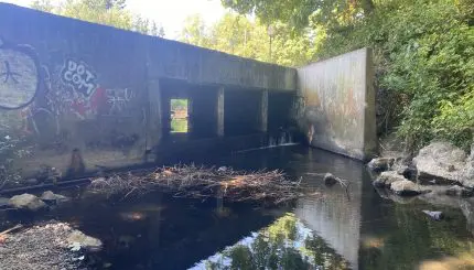 Cement culvert with an approximately 2-foot drop off into the creek