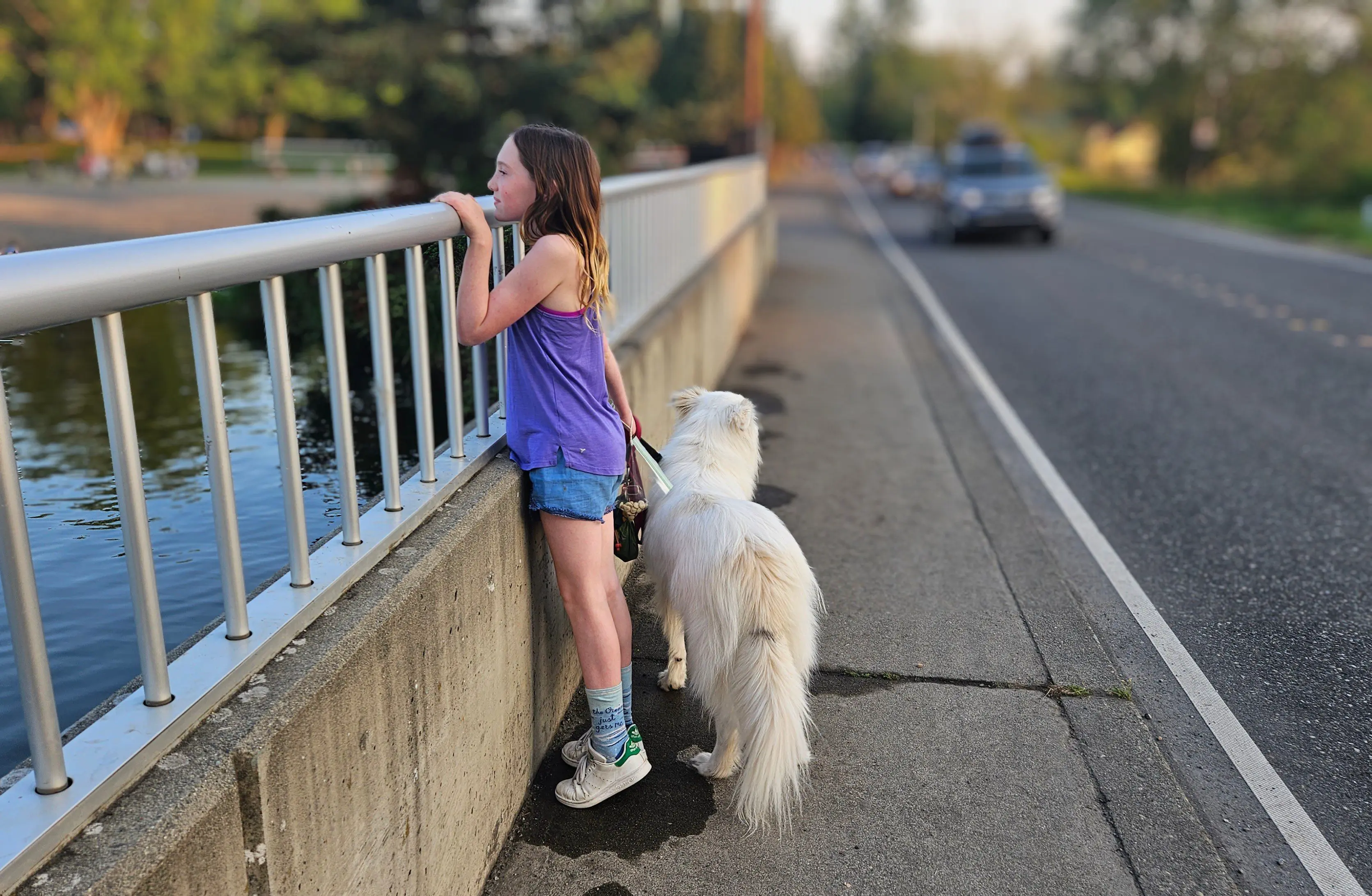 Girl with white dog looking over bridge railing as car approaches