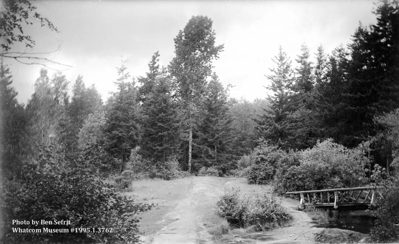 A black-and-white photo from the early 1900s of a bridge over a creek in a park