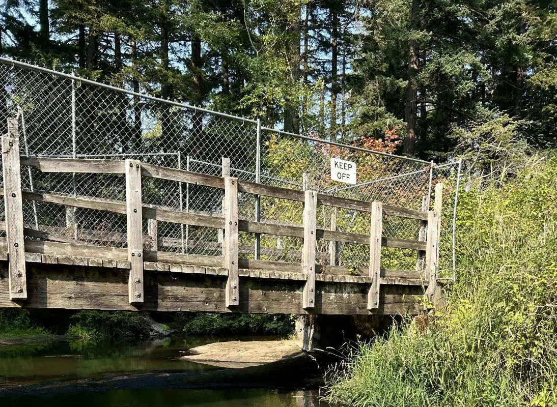 A broken bridge over a creek is fenced off.