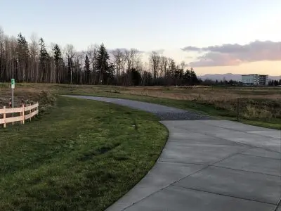 Park walking path through a meadow
